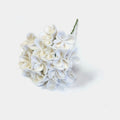 White Hydrangea Stem