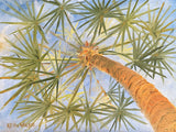 SKY PALM oil on canvas by Keith Wilkie