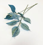 Lamb's Ear Stem