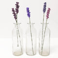 Lavender Stem