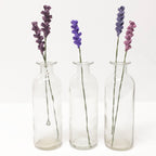Lavender Stem