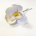 Magnolia Stem