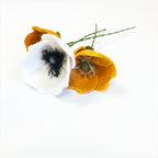 Poppy Stem