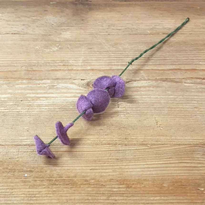 Purple Eucalyptus Stem