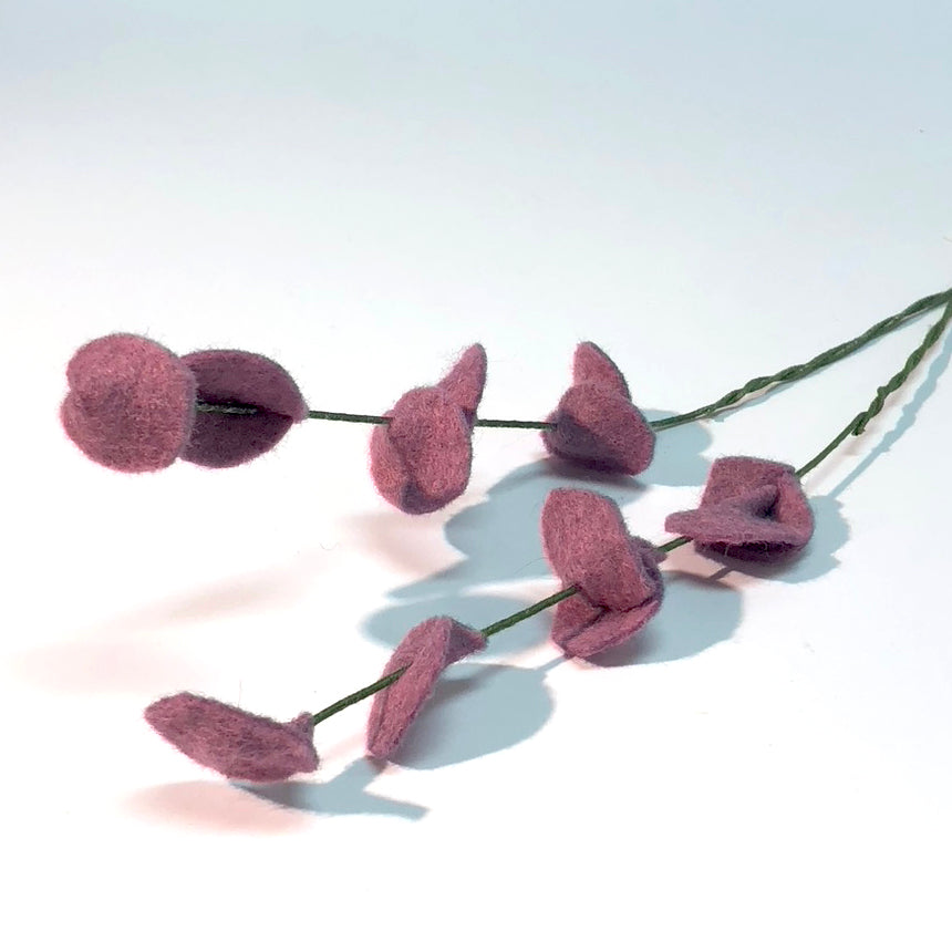 Purple Eucalyptus Stem