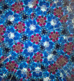 Sand Dollar Sea Garden Kaleidoscope