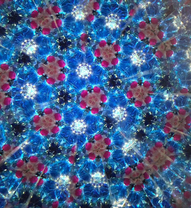 Sand Dollar Sea Garden Kaleidoscope