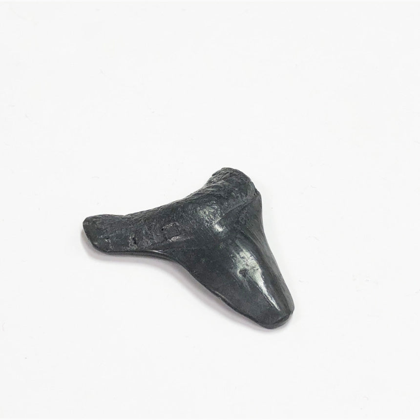 Graphite Drawing Sculpture