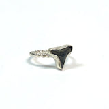 Shark Tooth Ring