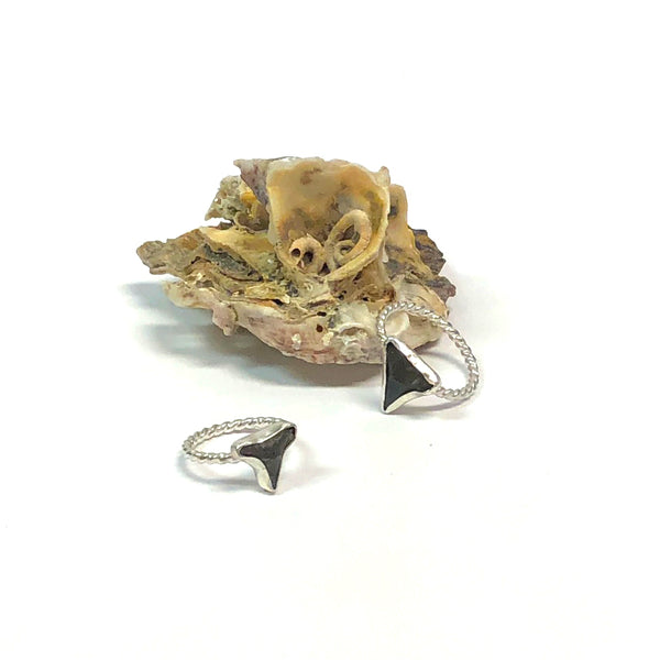 Shark Tooth Ring – With These Hands Gallery