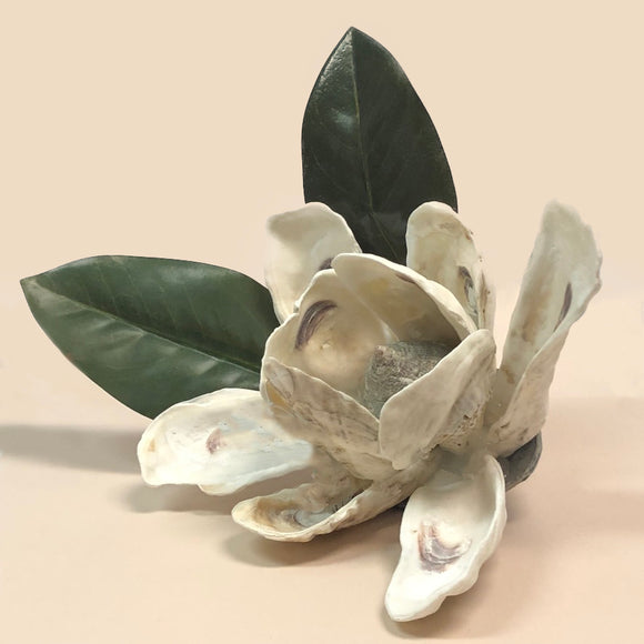 Shell Magnolia with Leaves