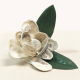 Shell Magnolia with Leaves