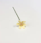 Wildflower Stem